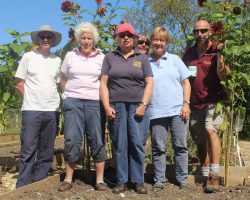 Garden Volunteers